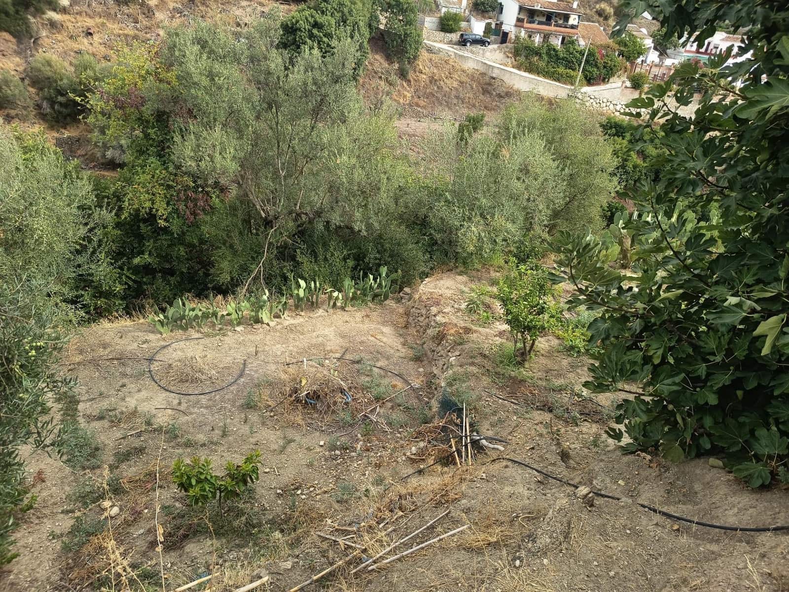 Terre non Aménagée à vendre à Canillas de Aceituno - 30 000 € (Ref: 10068026)