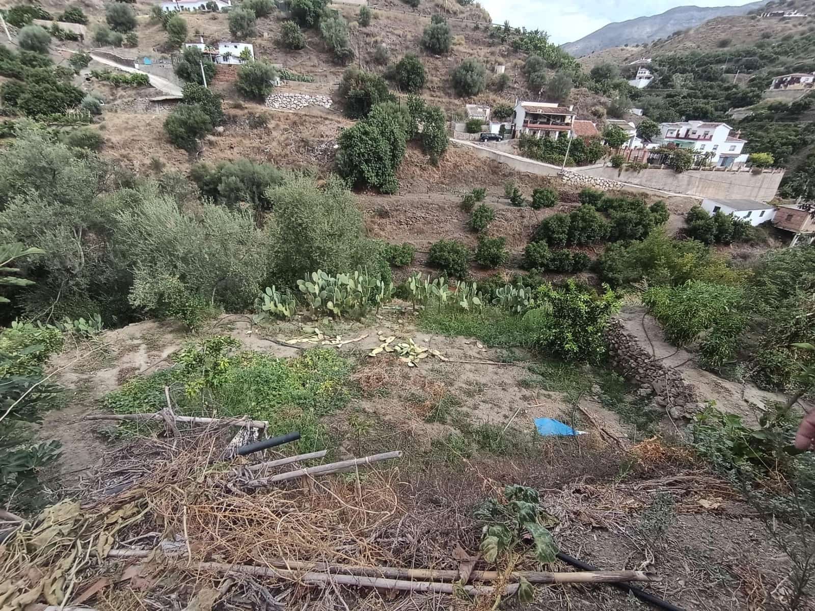 Terre non Aménagée à vendre à Canillas de Aceituno - 30 000 € (Ref: 10068026)