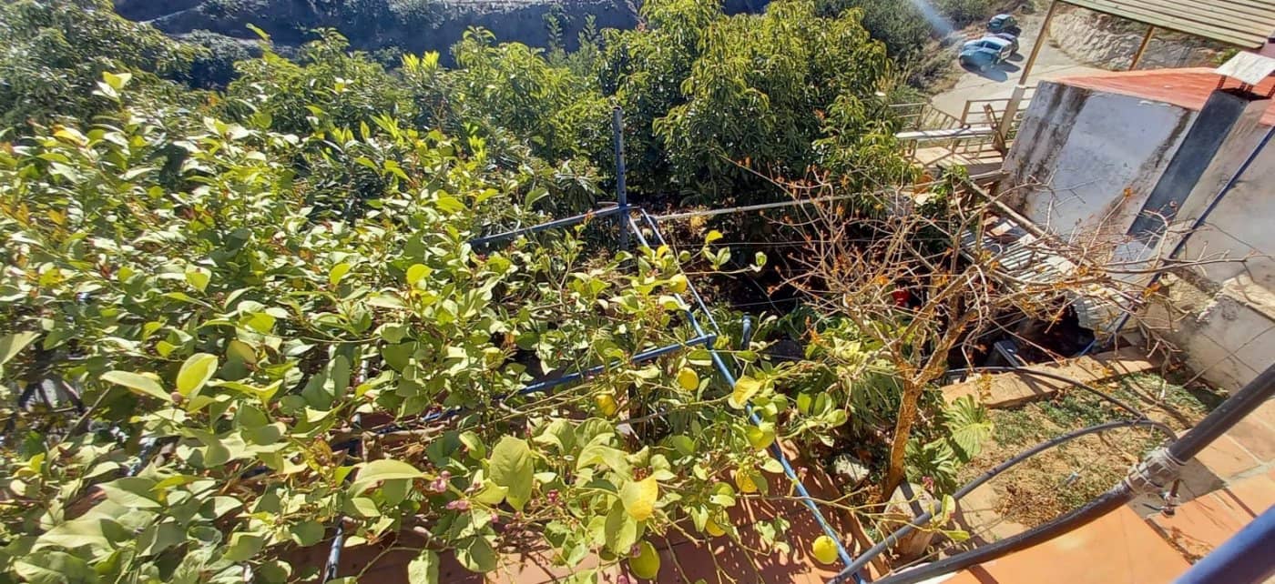 4 soveværelse Byhus til salg i Cutar med swimmingpool - € 185.500 (Ref: 8078852)