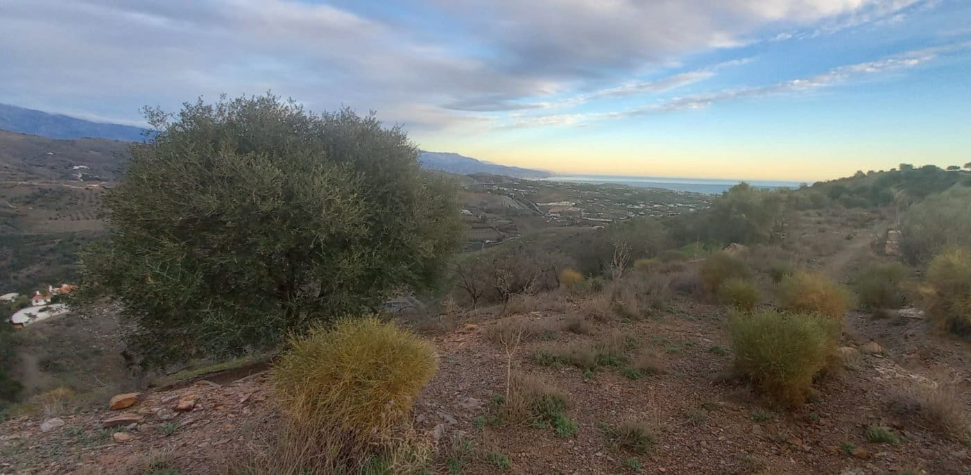 Byggegrund til salg i Benajarafe - € 450.000 (Ref: 8078866)