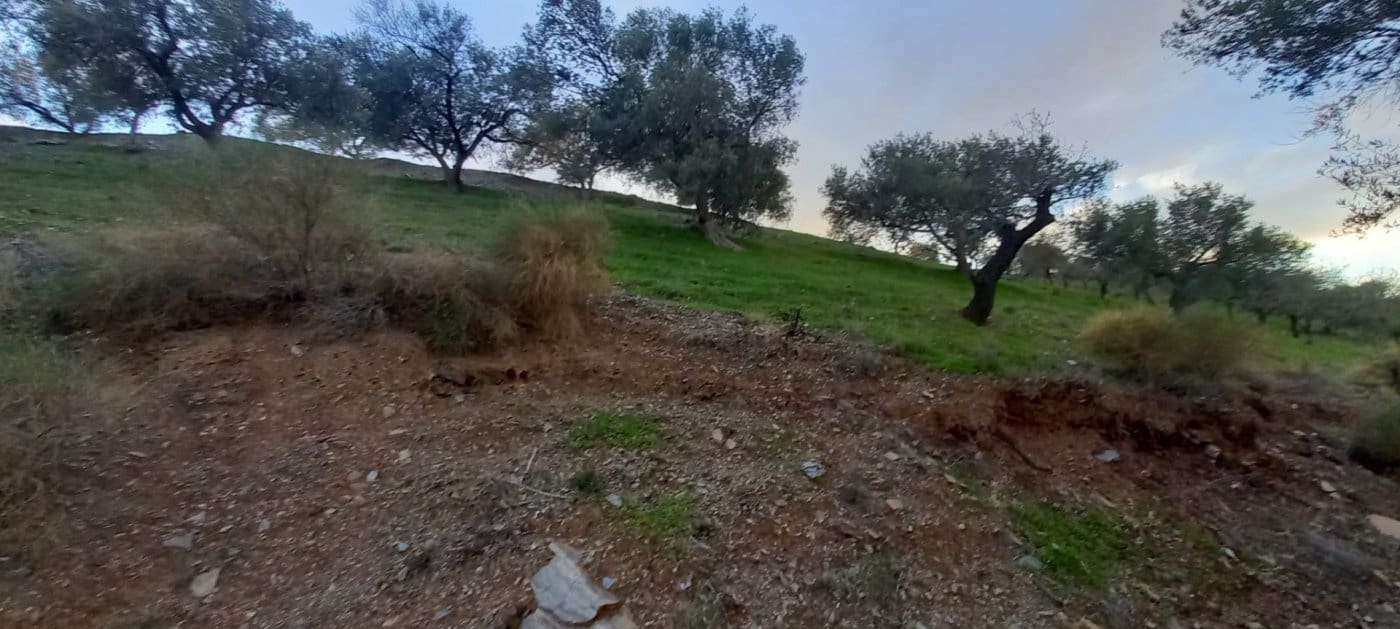 Byggegrund til salg i Benajarafe - € 450.000 (Ref: 8078866)