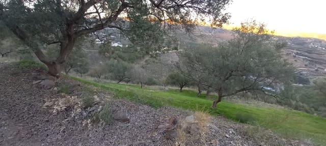 Bouwgrond te koop in Benajarafe, Vélez-Málaga - € 450.000 (Ref: 8078866)