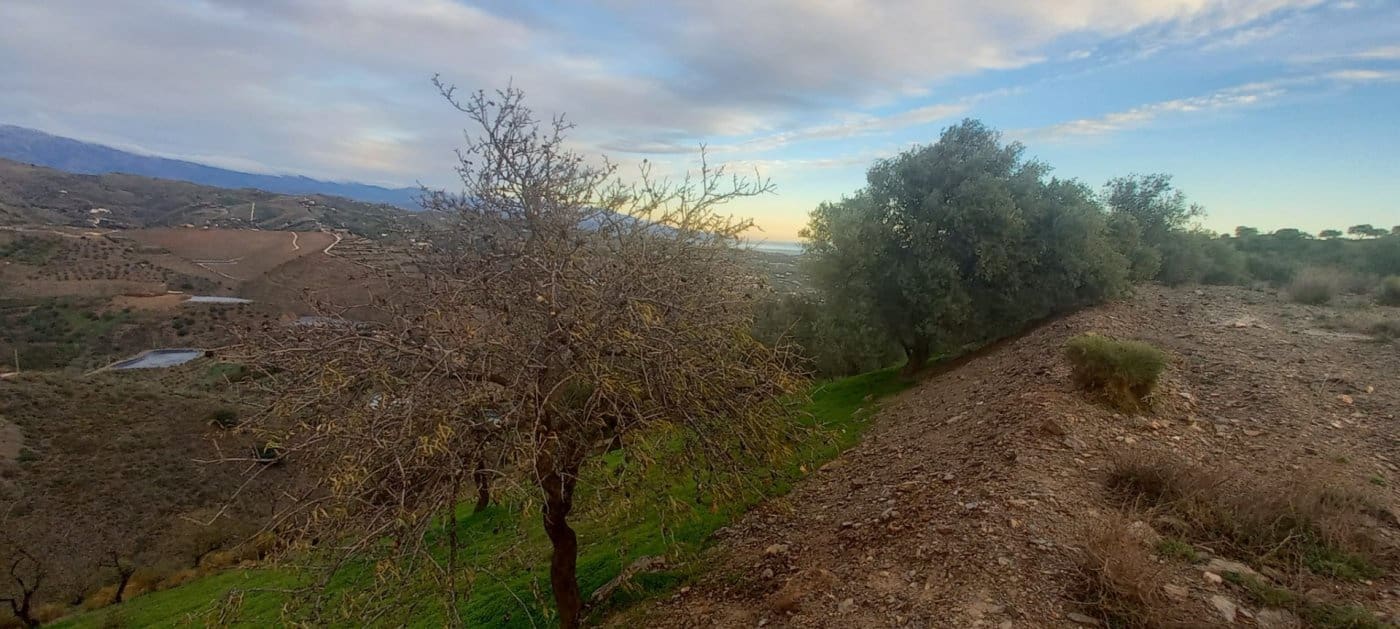 Byggegrund til salg i Benajarafe - € 450.000 (Ref: 8078866)