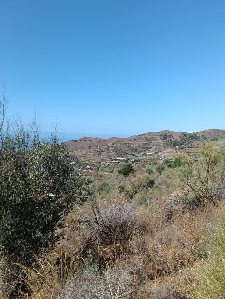 Byggegrund til salg i Benajarafe - € 450.000 (Ref: 8078866)