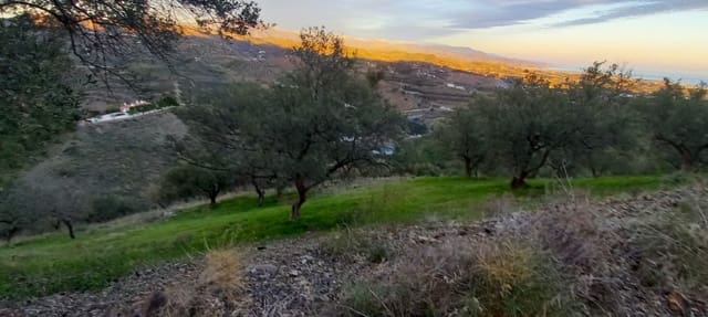Building Plot for sale in Benajarafe, Vélez-Málaga - € 450,000 (Ref: 8078866)