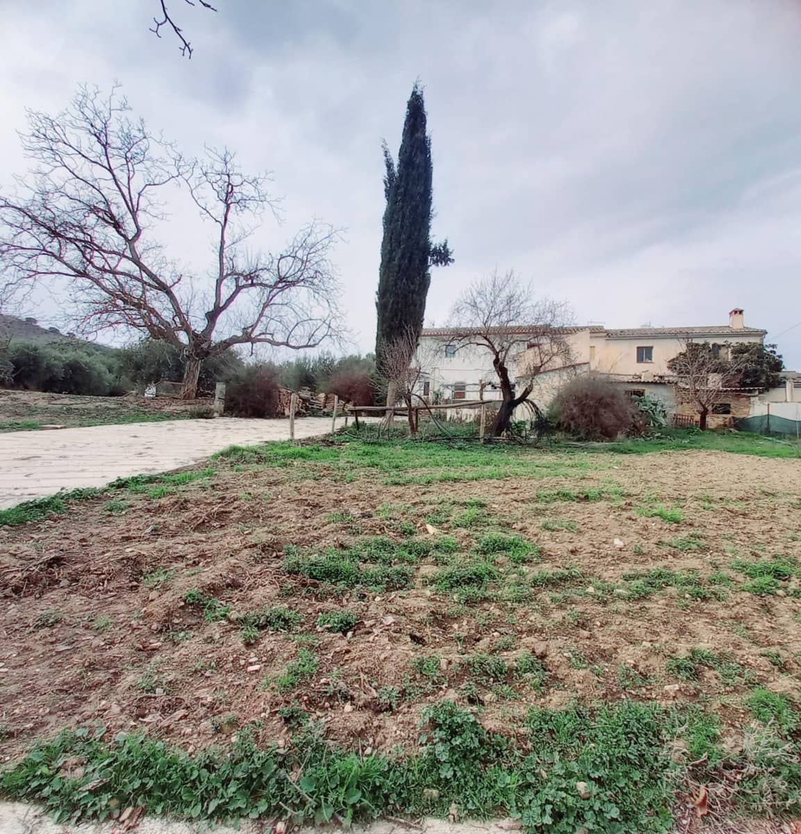 Ubebygd land til salgs i Granada by - € 66 000 (Ref: 8090208)