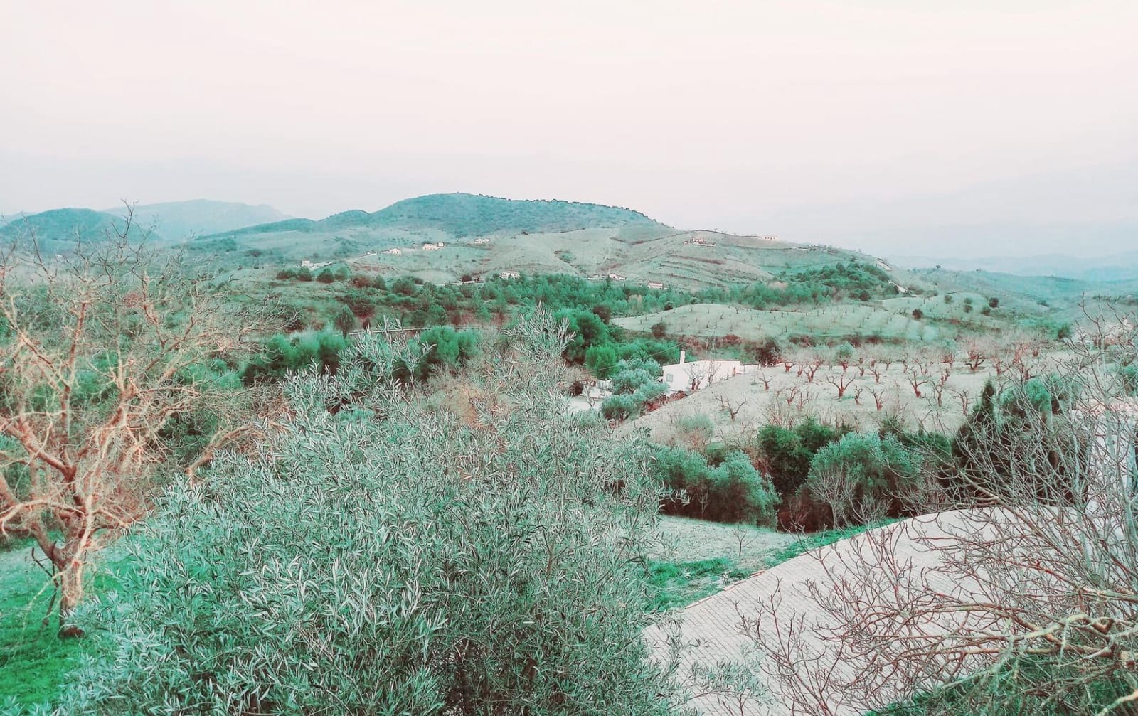 Ubebygd land til salgs i Granada by - € 66 000 (Ref: 8090208)