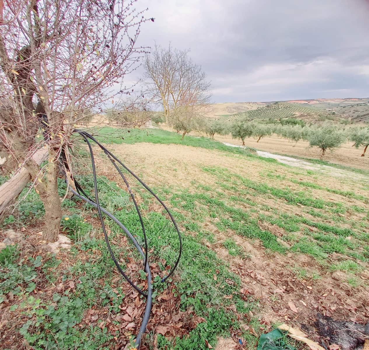 Ubebygd land til salgs i Granada by - € 66 000 (Ref: 8090208)