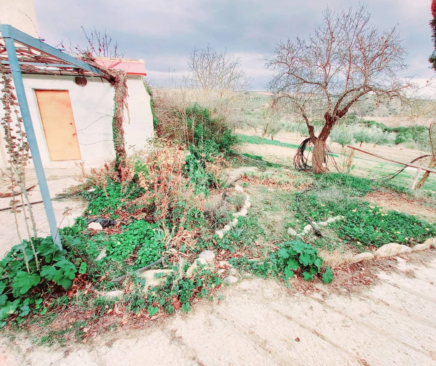 Ubebygd land til salgs i Granada by - € 66 000 (Ref: 8090208)