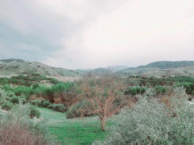 Grond te koop in Granada stad - € 66.000 (Ref: 8090208)