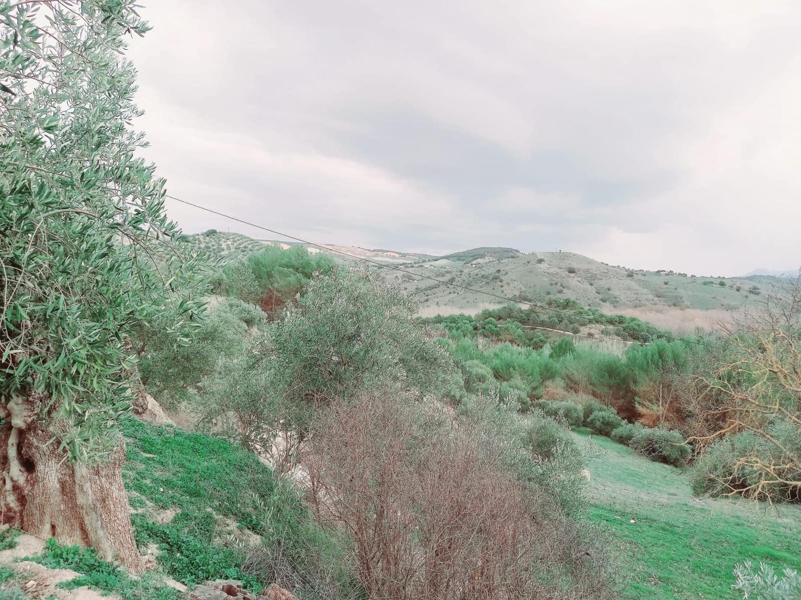 Ubebygd land til salgs i Granada by - € 66 000 (Ref: 8090208)