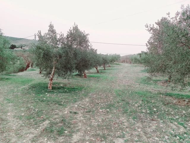 Grond te koop in Granada stad - € 66.000 (Ref: 8090208)