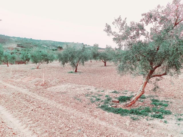 Grond te koop in Granada stad - € 66.000 (Ref: 8090208)