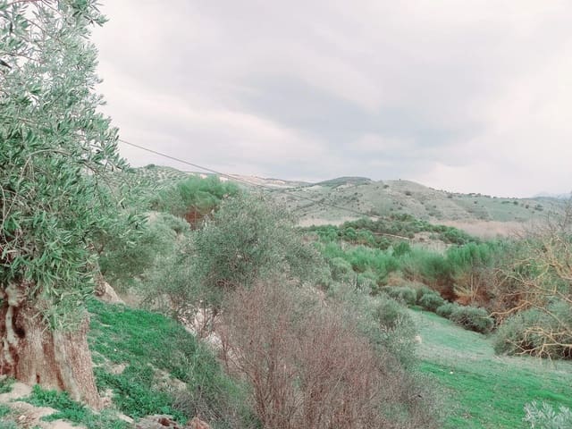 Grond te koop in Granada stad - € 66.000 (Ref: 8090208)