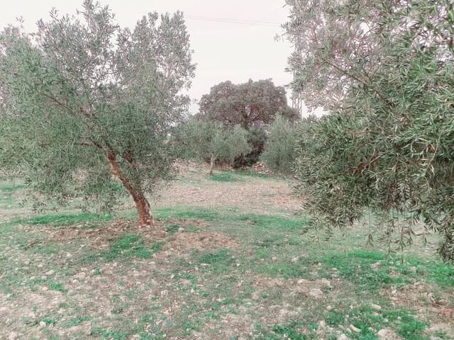 Grond te koop in Granada stad - € 66.000 (Ref: 8090208)