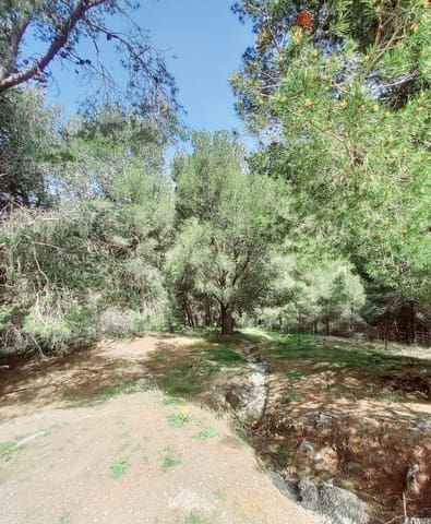 Mark till salu i Canillas de Aceituno - 210 000 € (Ref: 8209193)