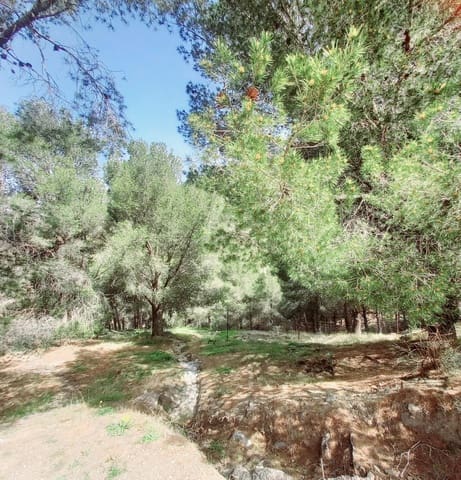 Mark till salu i Canillas de Aceituno - 210 000 € (Ref: 8209193)