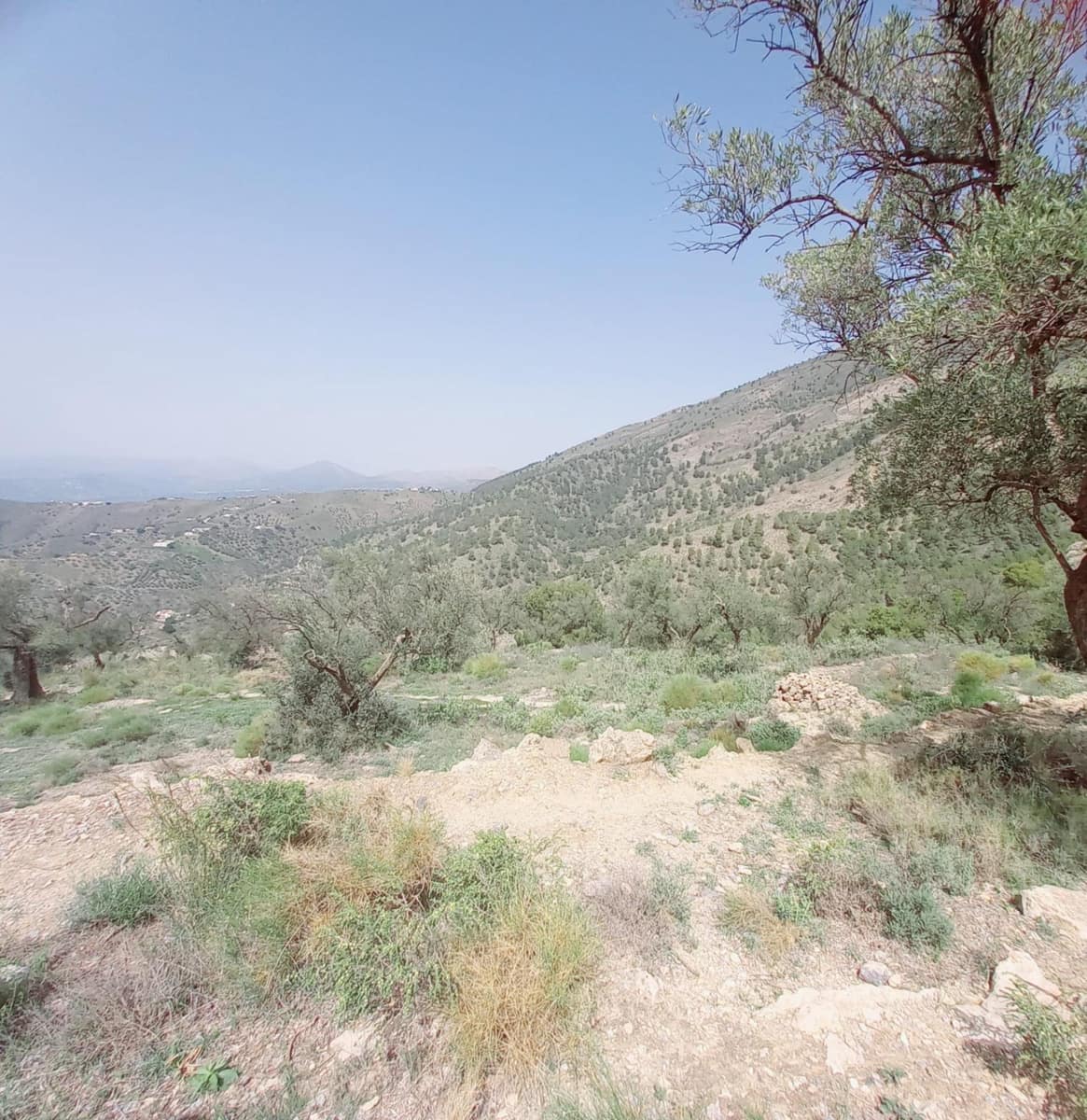 Ubebygd land til salgs i Canillas de Aceituno - € 210 000 (Ref: 8209193)