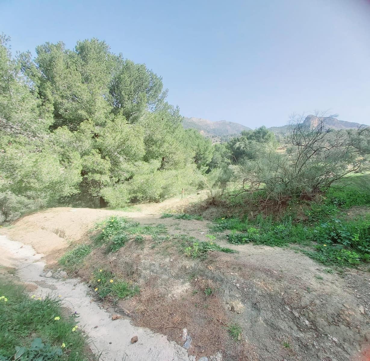 Ubebygd land til salgs i Canillas de Aceituno - € 210 000 (Ref: 8209193)