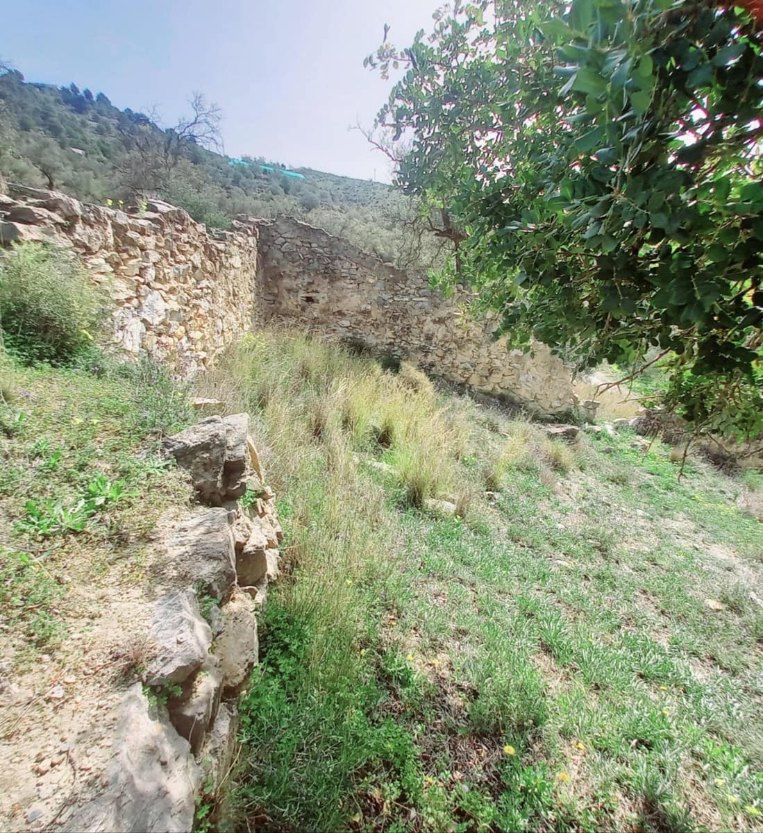 Ubebygd land til salgs i Canillas de Aceituno - € 210 000 (Ref: 8209193)