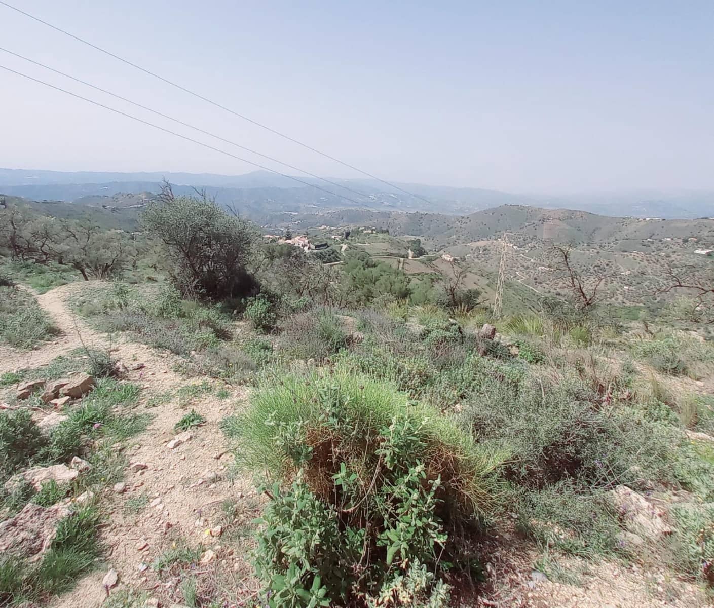 Ubebygd land til salgs i Canillas de Aceituno - € 210 000 (Ref: 8209193)