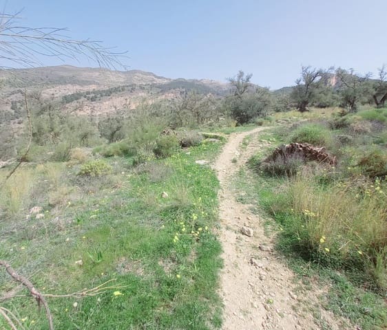 Mark till salu i Canillas de Aceituno - 210 000 € (Ref: 8209193)