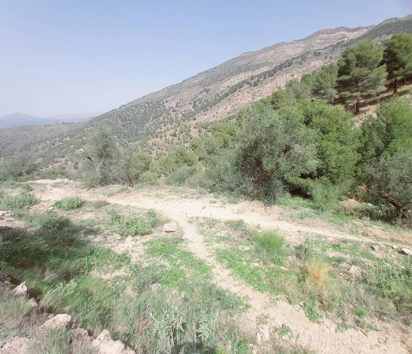 Ubebygd land til salgs i Canillas de Aceituno - € 210 000 (Ref: 8209193)