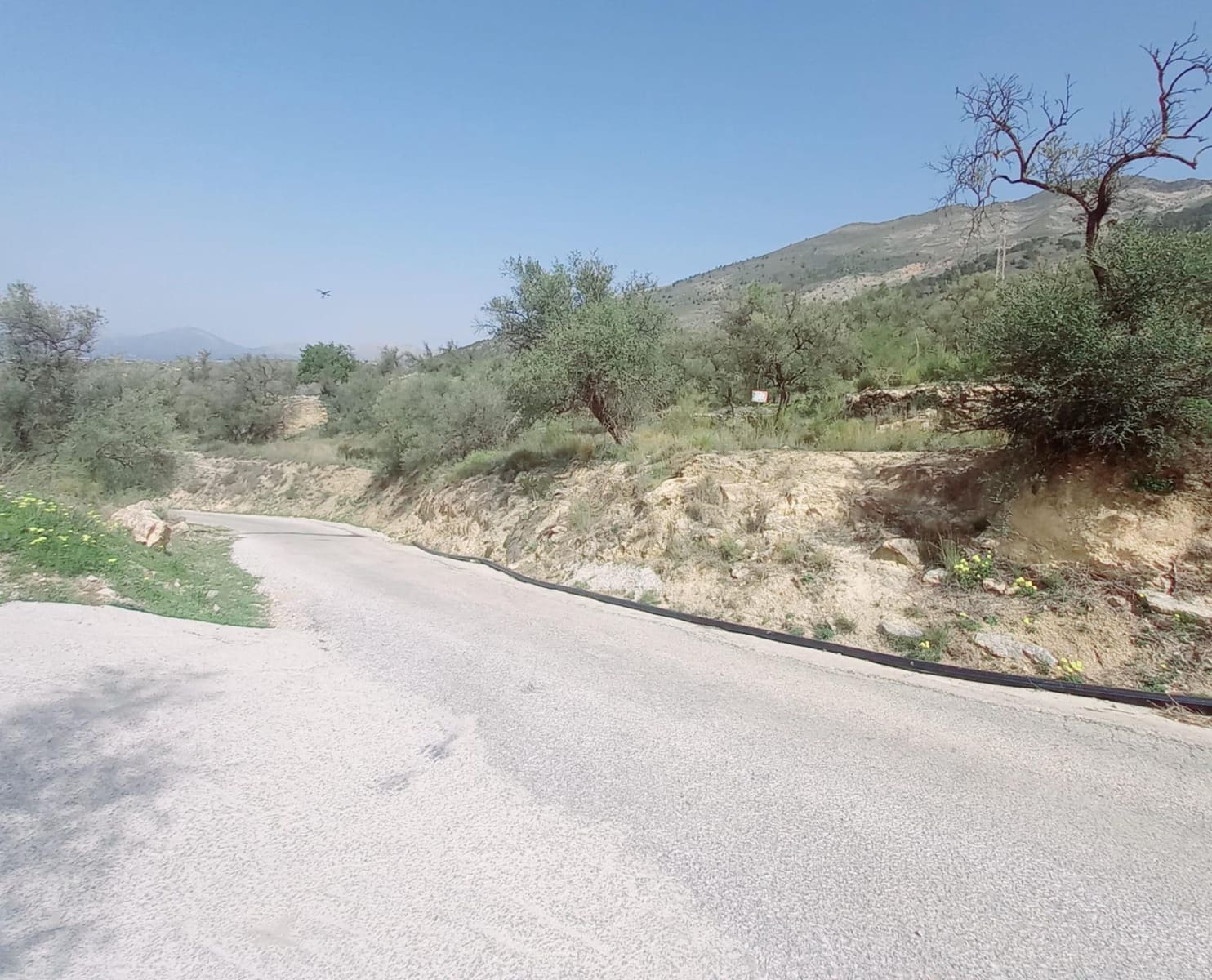 Ubebygd land til salgs i Canillas de Aceituno - € 210 000 (Ref: 8209193)