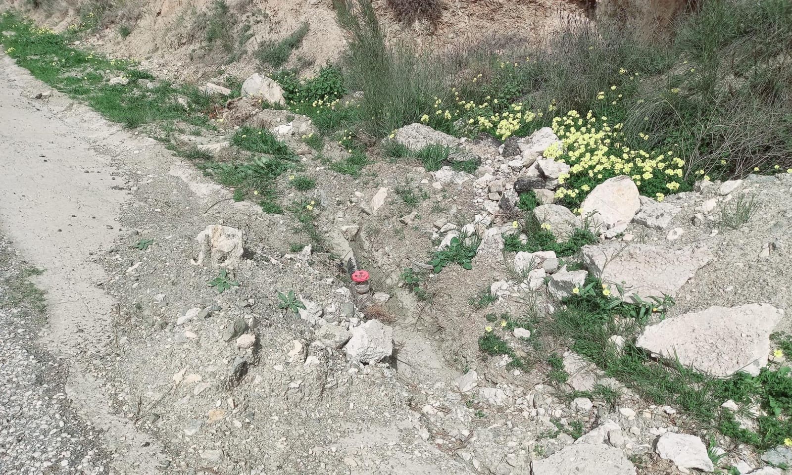 Ubebygd land til salgs i Canillas de Aceituno - € 210 000 (Ref: 8209193)