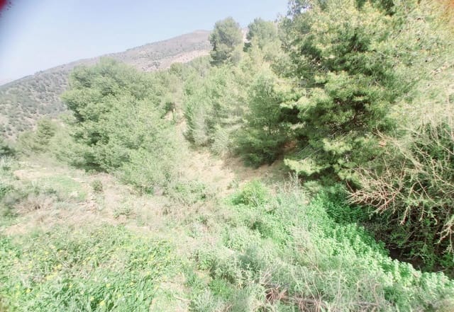 Mark till salu i Canillas de Aceituno - 210 000 € (Ref: 8209193)