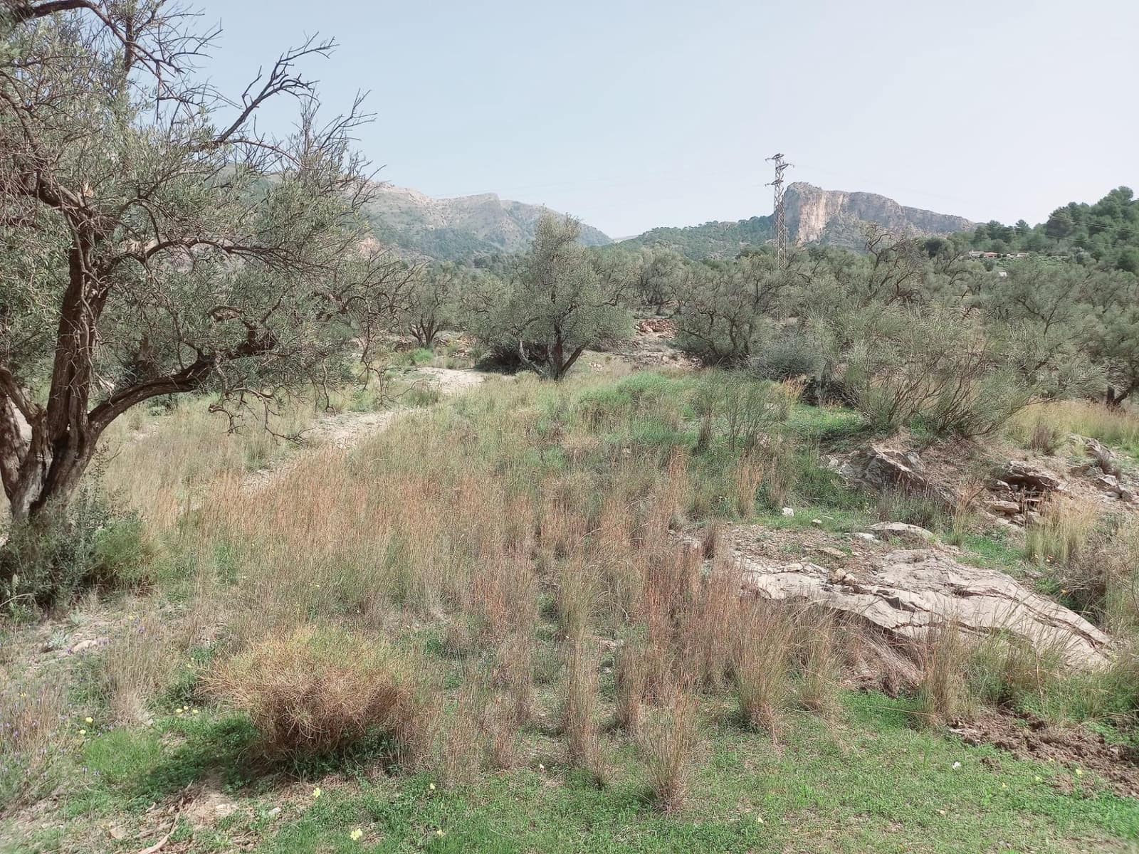 Ubebygd land til salgs i Canillas de Aceituno - € 210 000 (Ref: 8209193)