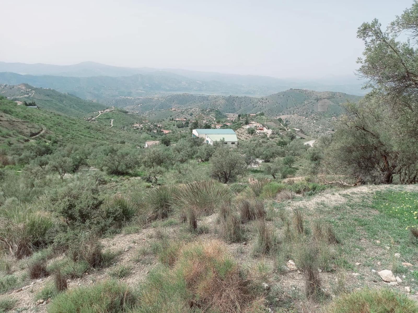 Ubebygd land til salgs i Canillas de Aceituno - € 210 000 (Ref: 8209193)