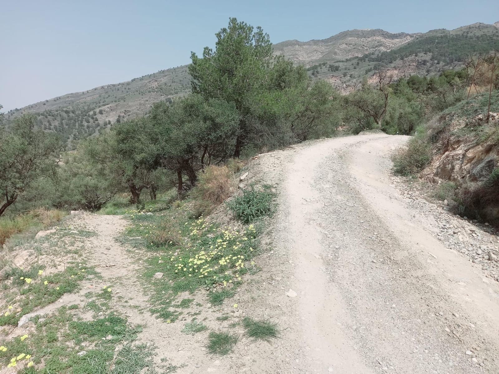 Ubebygd land til salgs i Canillas de Aceituno - € 210 000 (Ref: 8209193)