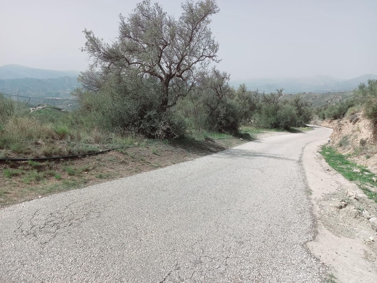 Ubebygd land til salgs i Canillas de Aceituno - € 210 000 (Ref: 8209193)