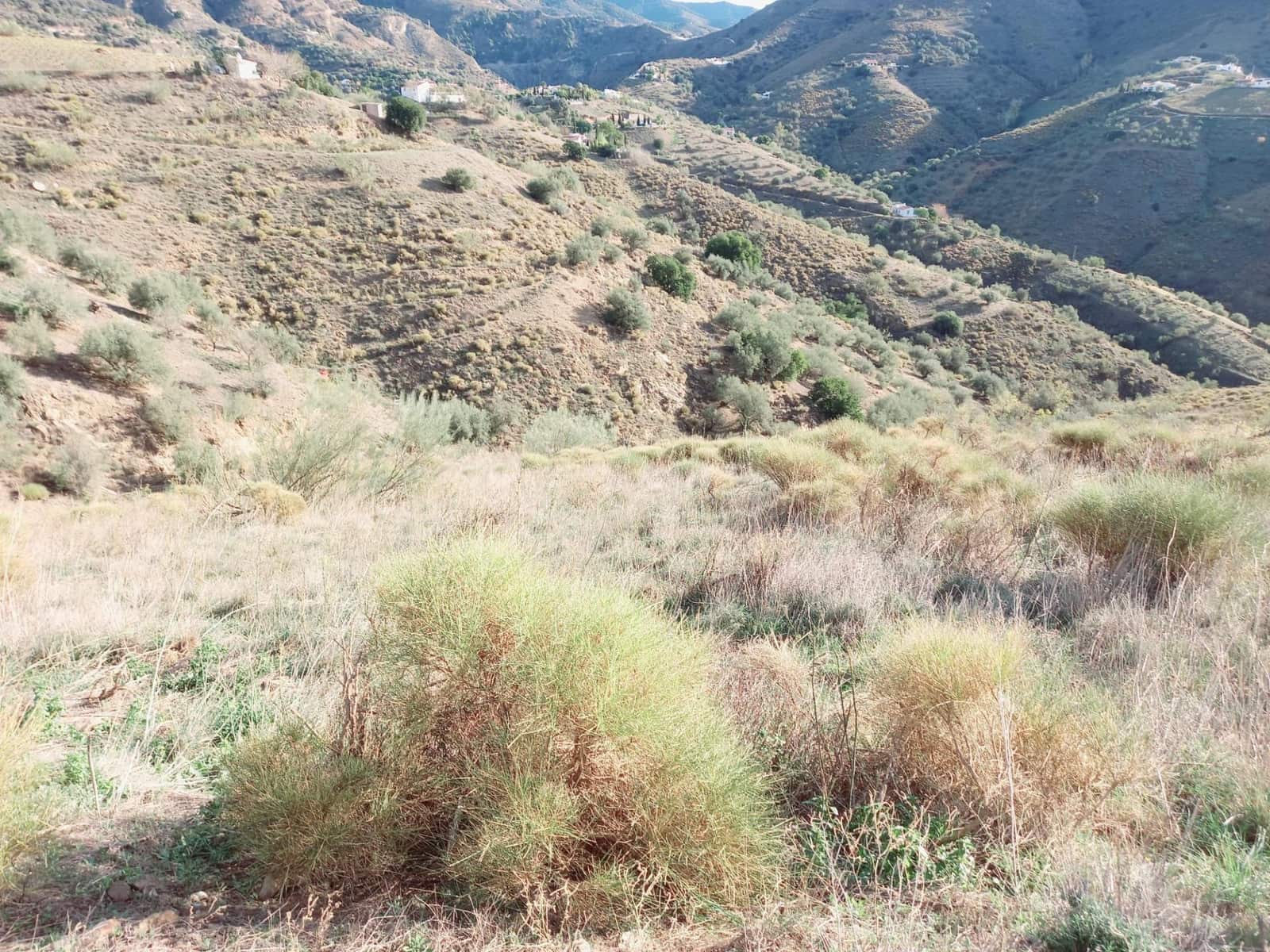 1 slaapkamer Finca/Landhuis te koop in Canillas de Aceituno met garage - € 79.500 (Ref: 8242777)