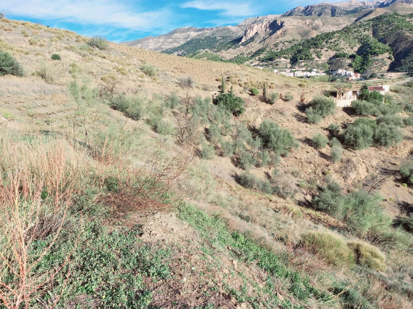 1 slaapkamer Finca/Landhuis te koop in Canillas de Aceituno met garage - € 79.500 (Ref: 8242777)