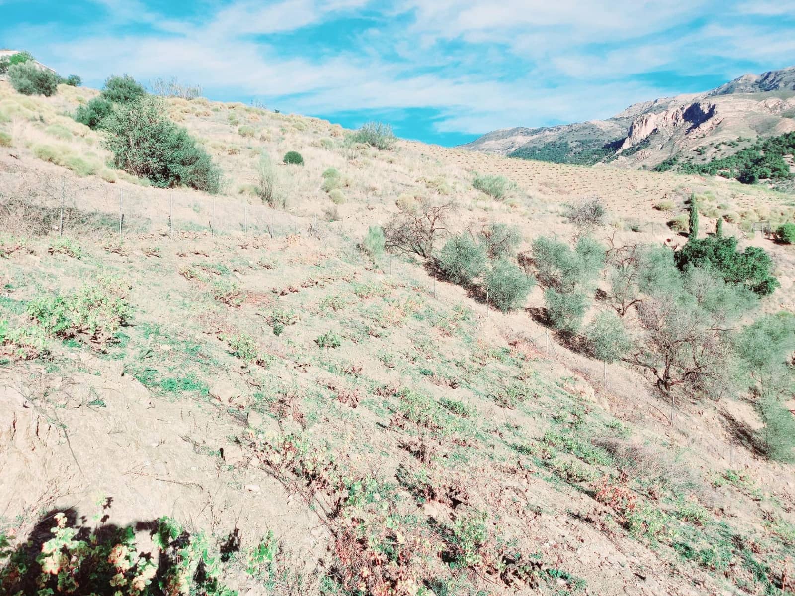 1 slaapkamer Finca/Landhuis te koop in Canillas de Aceituno met garage - € 79.500 (Ref: 8242777)