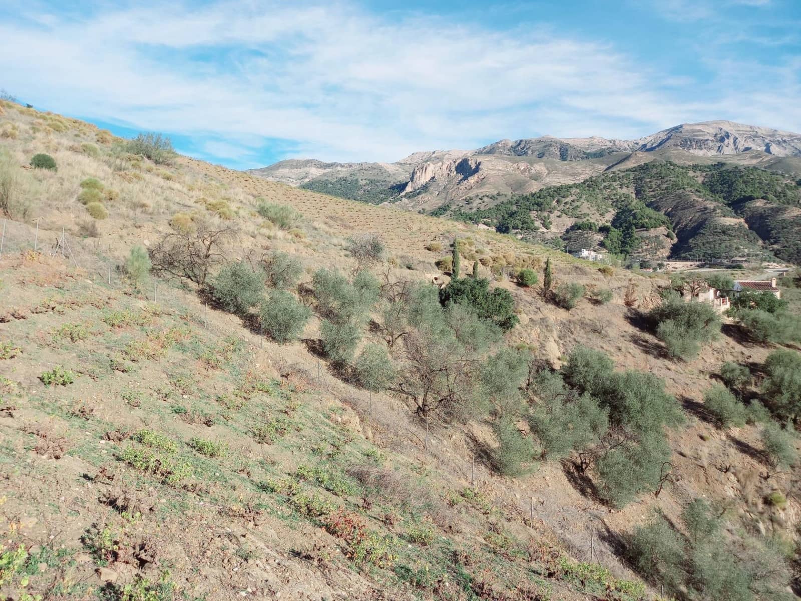 1 slaapkamer Finca/Landhuis te koop in Canillas de Aceituno met garage - € 79.500 (Ref: 8242777)