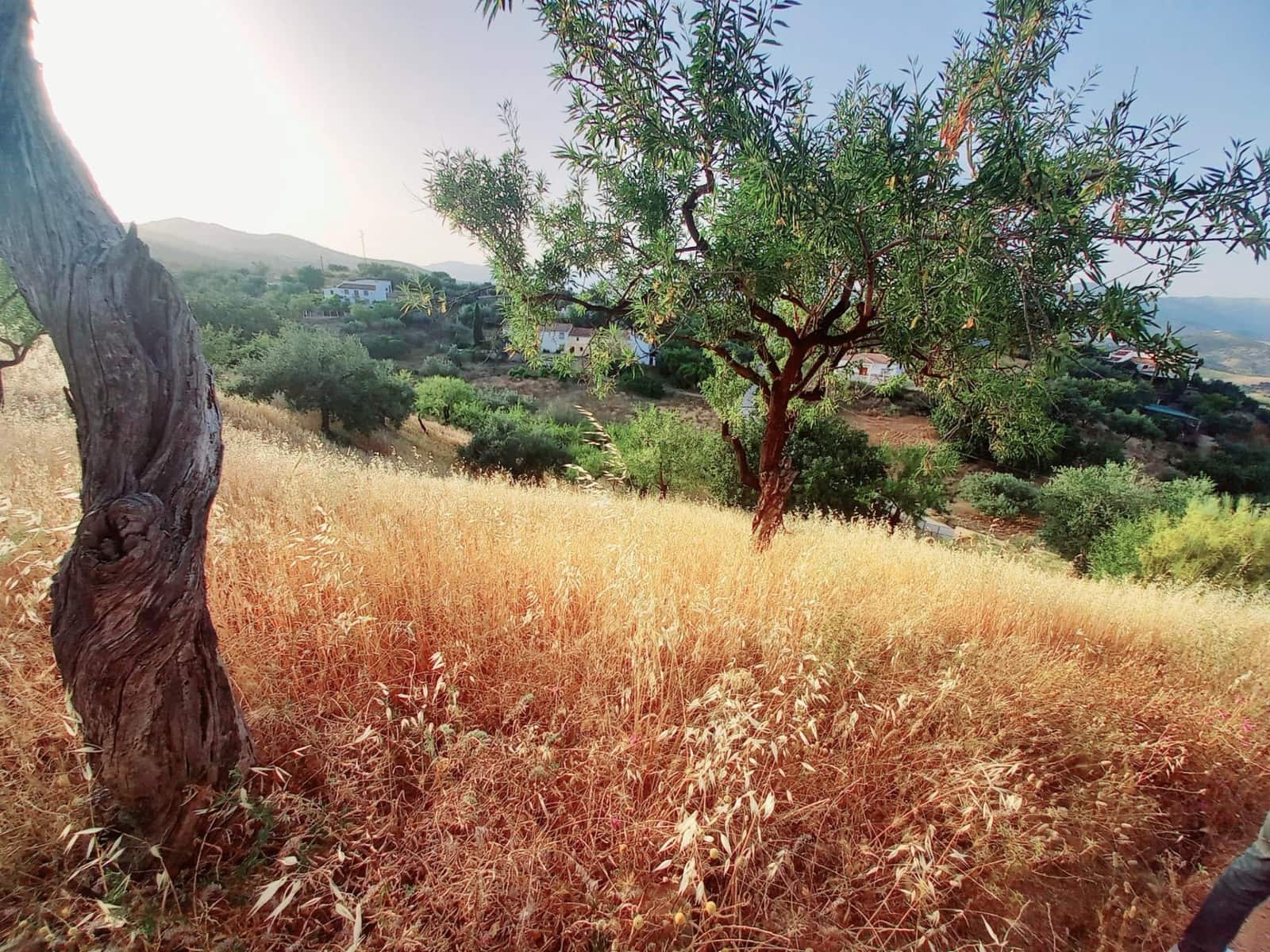 4 soverom Kjedet enebolig til salgs i Comares med garasje - € 250 000 (Ref: 8327983)