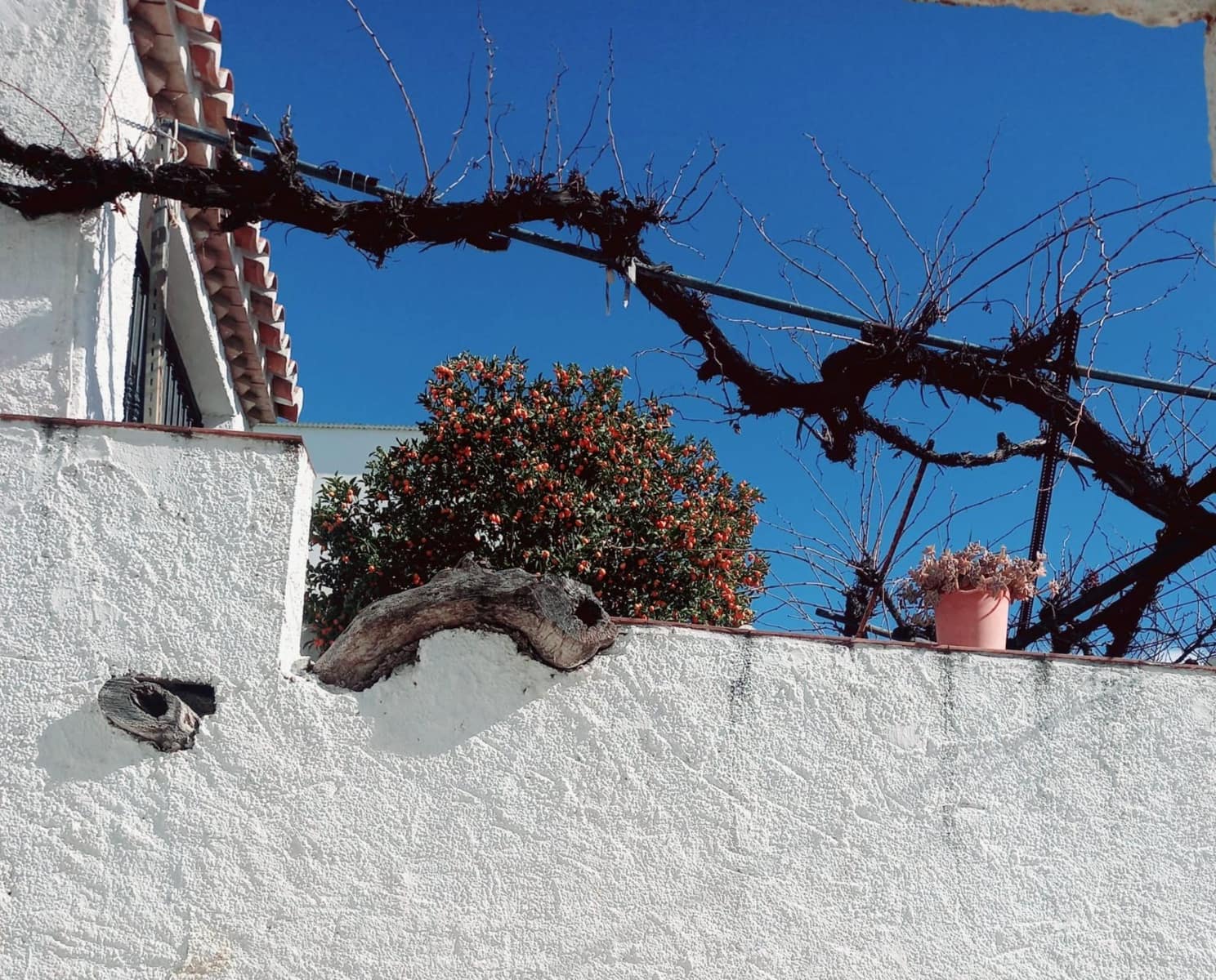 3 soveværelse Byhus til salg i Canillas de Aceituno - € 189.900 (Ref: 8851918)