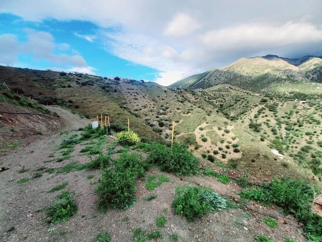 Mark till salu i Canillas de Aceituno - 40 000 € (Ref: 8851919)