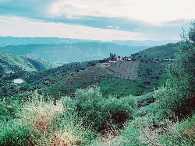 Mark till salu i Canillas de Aceituno - 40 000 € (Ref: 8851919)