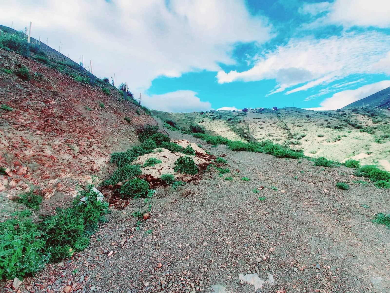 Teren niezagospodarowany na sprzedaż w Canillas de Aceituno - 40 000 € (Ref: 8851919)