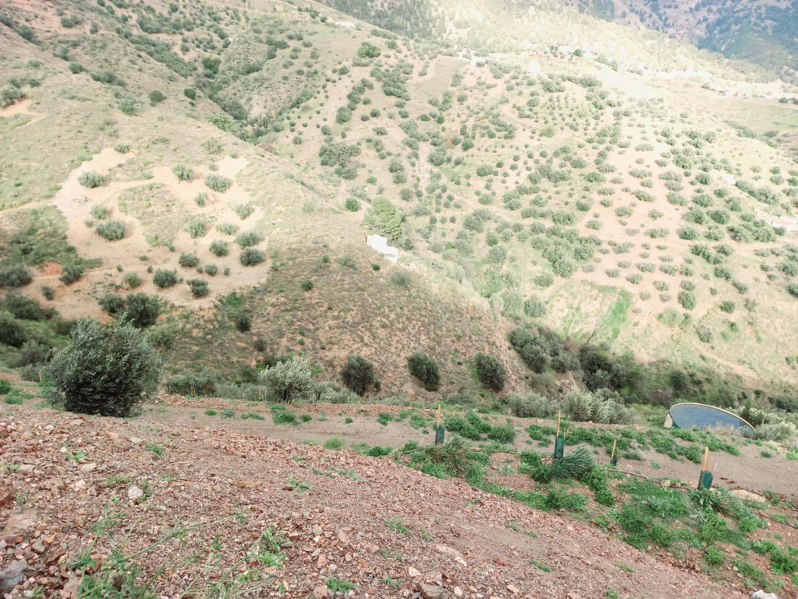 Ubebygd land til salgs i Canillas de Aceituno - € 40 000 (Ref: 8851919)