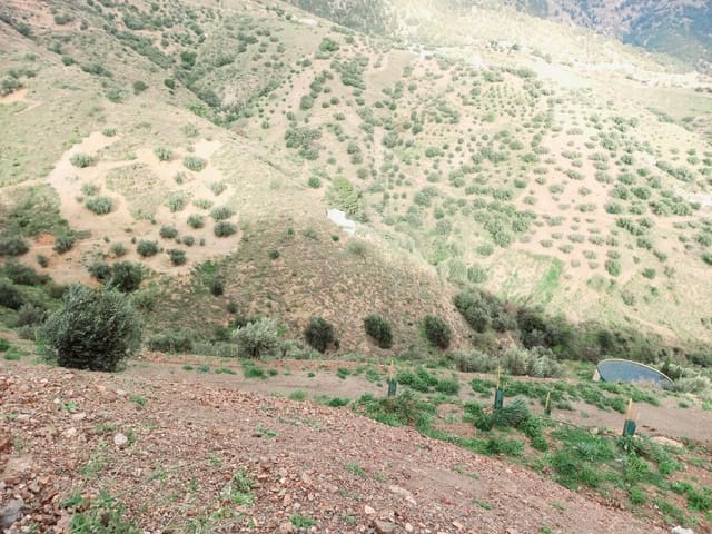 Grond te koop in Canillas de Aceituno - € 40.000 (Ref: 8851919)