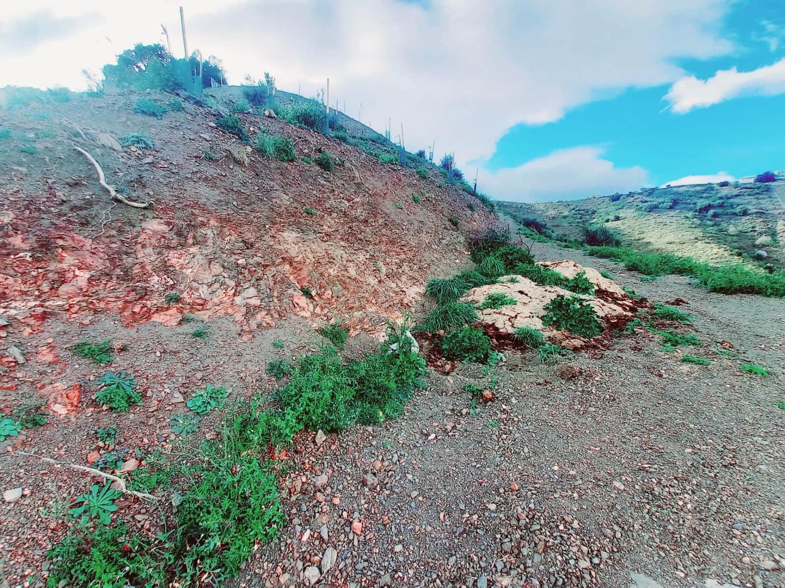 Ubebygd land til salgs i Canillas de Aceituno - € 40 000 (Ref: 8851919)