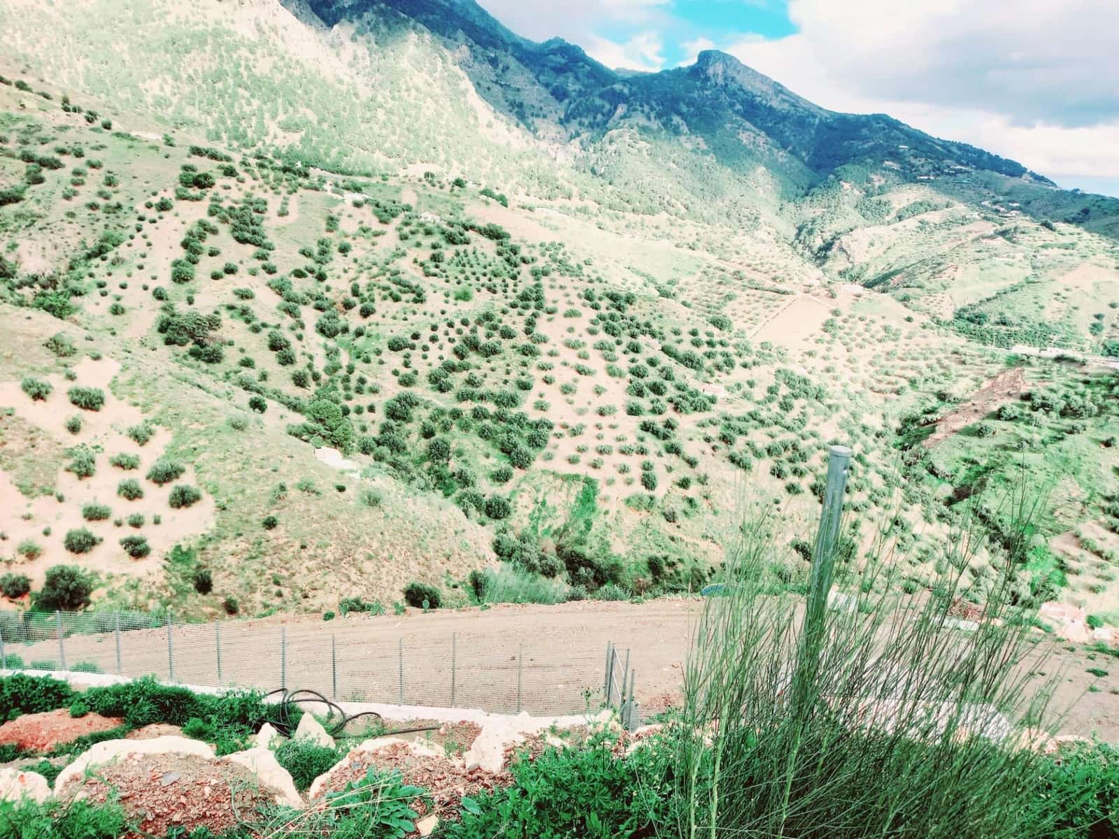 Ubebygd land til salgs i Canillas de Aceituno - € 40 000 (Ref: 8851919)