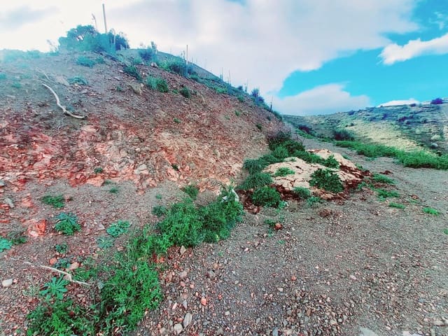 Grond te koop in Canillas de Aceituno - € 40.000 (Ref: 8851919)