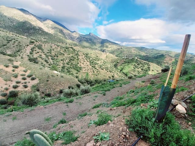 Grond te koop in Canillas de Aceituno - € 40.000 (Ref: 8851919)