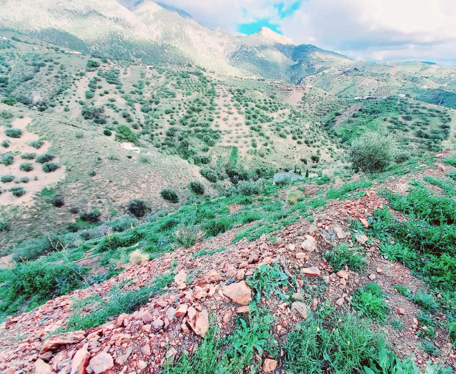 Ubebygd land til salgs i Canillas de Aceituno - € 40 000 (Ref: 8851919)